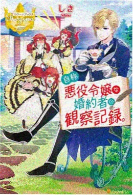 成人向动画